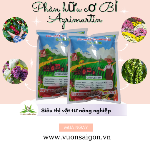 Phan Huu Co Bi Agrimartin (3)