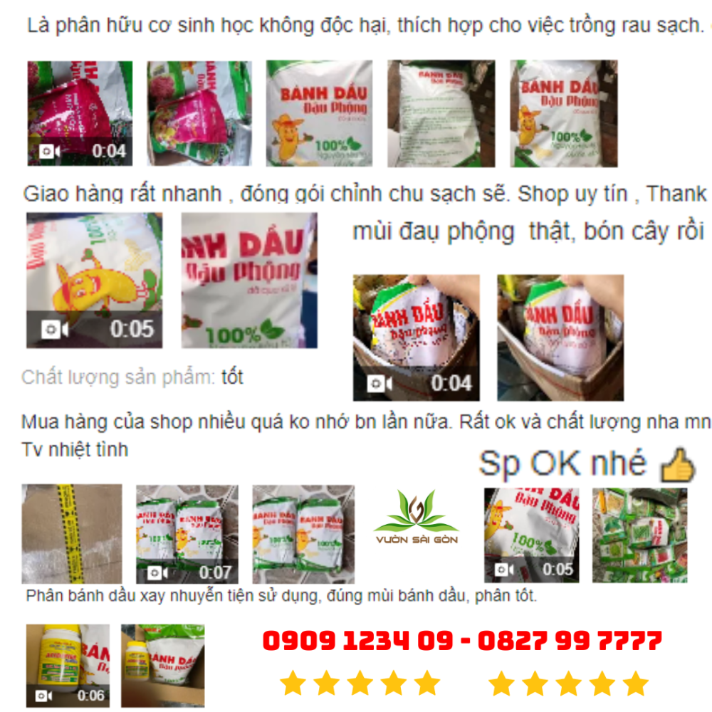 Banh Dau Dau Phong Lavamix