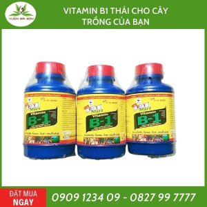 Vitamin B1 Thái