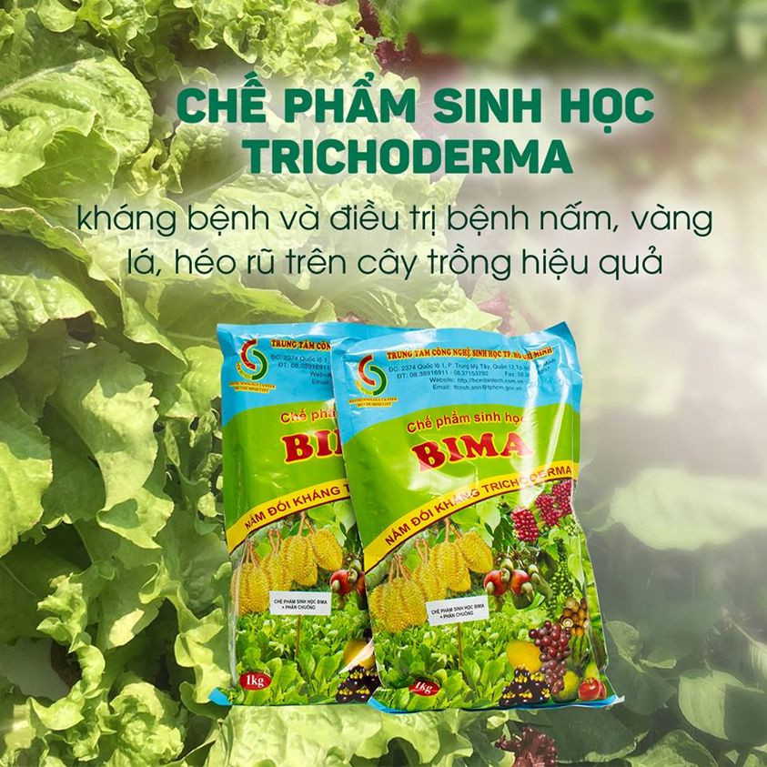 Che Pham Sinh Hoc Bima Nam Doi Khang Trichoderma