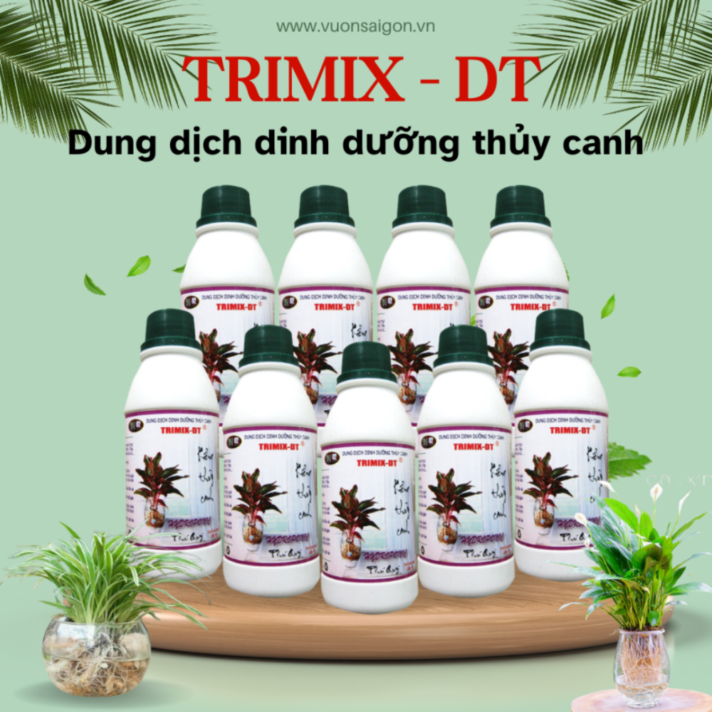 Dinh Duong Thuy Canh Huu Co Trimix Dt (4)