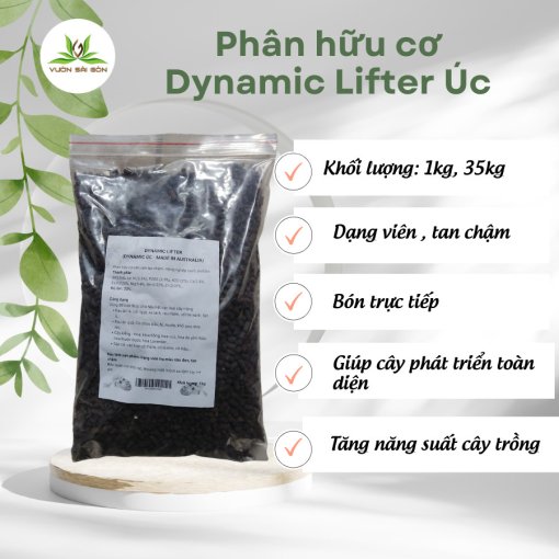 Phan Bon Huu Co Dynamic Uc