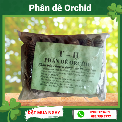 Phan De Orchid