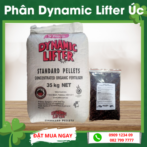 Phan Dynamic Lifter Uc