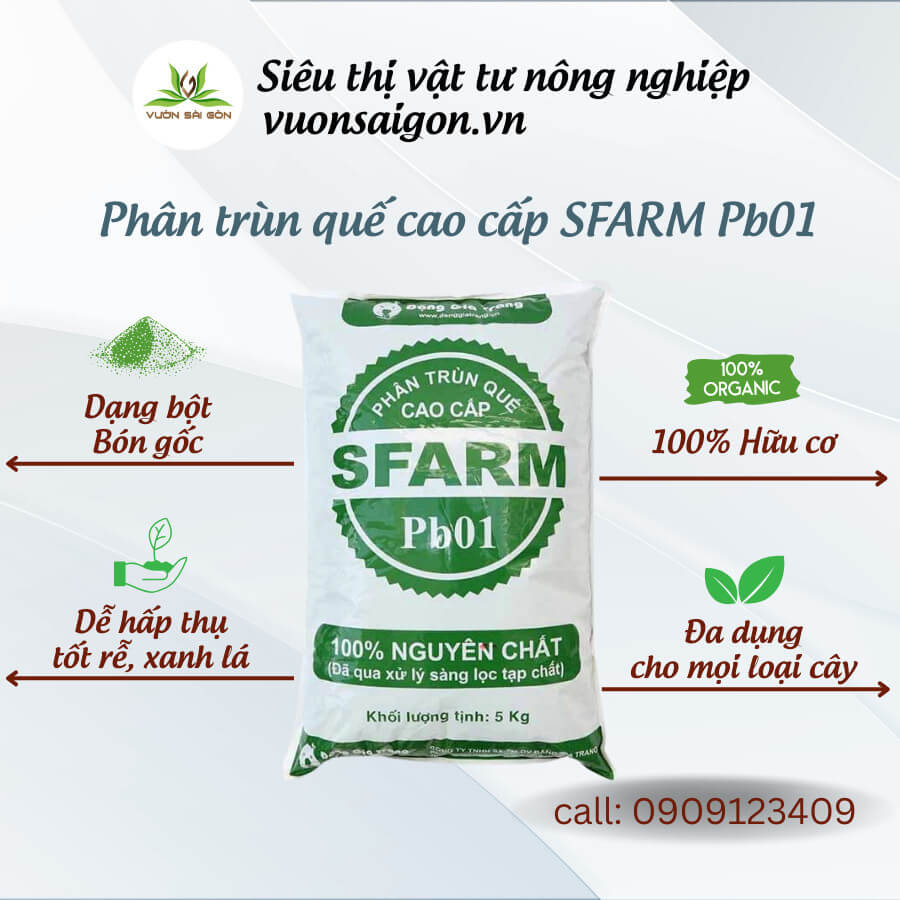 Phan Trun Que Sfarm 1