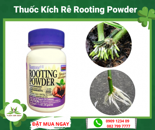 Thuoc Kich Re Rooting Power My