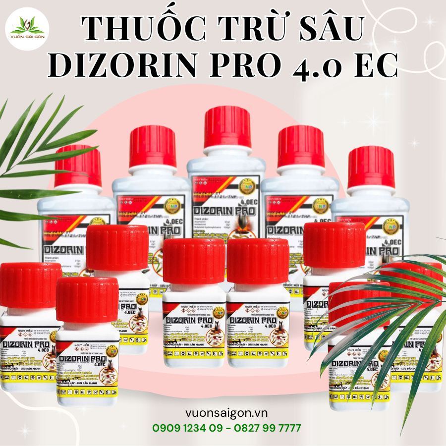 Thuoc Tru Sau Dizorin Pro (3)