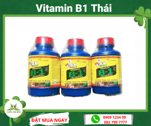 Vitamin B1 Thai