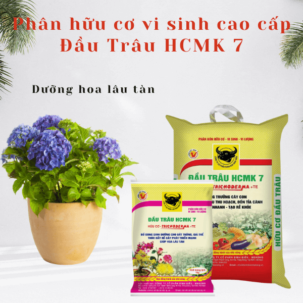 Hckm7 4