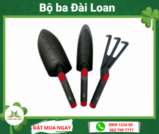 Bo 3 Dai Loan