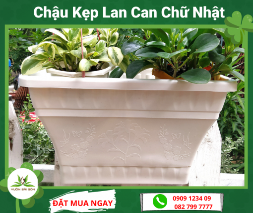 Chau Kep Lan Can Chu Nhat