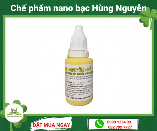 Che Pham Nano Bac Hung Nguyen (1)