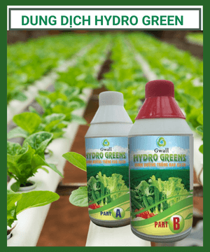 Dung Dich Thuy Canh Hydro Green