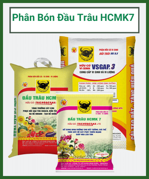Huu Co Vi Sinh Hcmk7