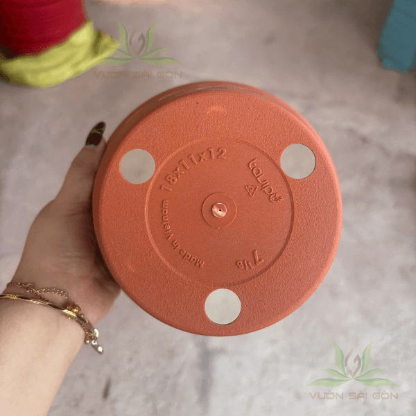 lan-gia-dat-nung-3 Chậu nhựa giả đất nung trồng lan 3