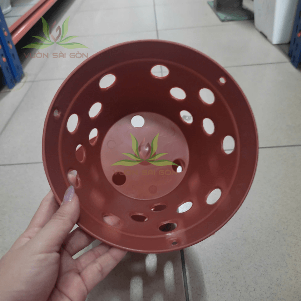 lan-gia-dat-nung-4 Chậu nhựa giả đất nung trồng lan 4
