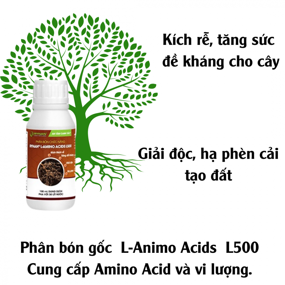 Phan Bon Goc Rynan Lamino Acid L500