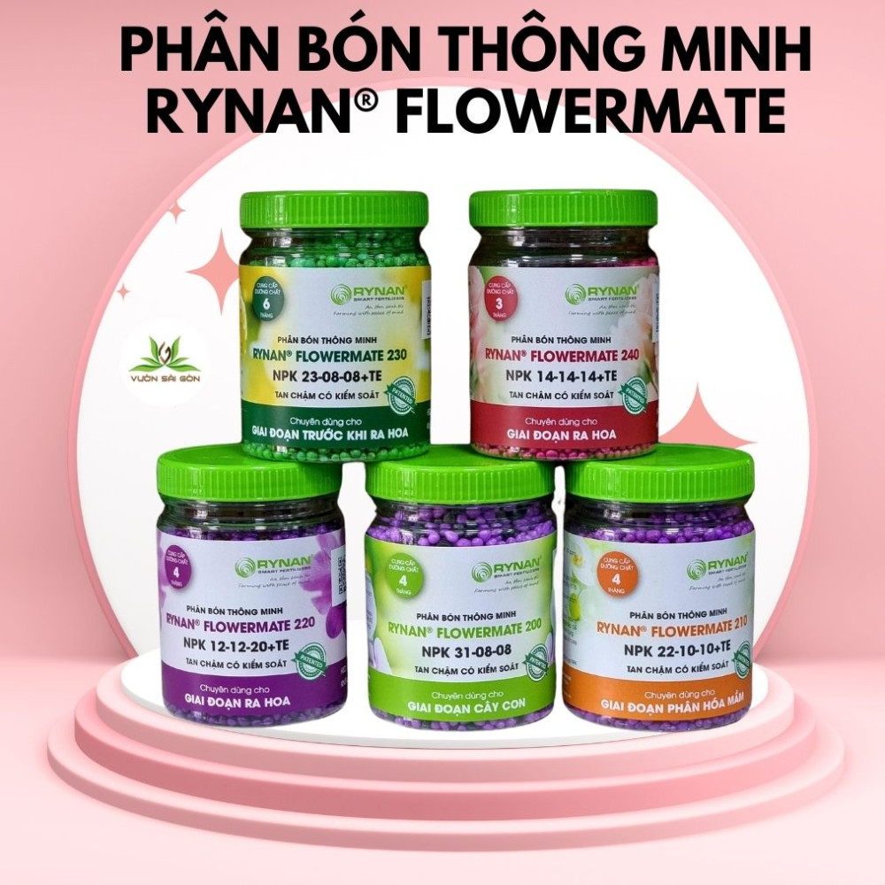 Phan Bon Thong Minh Rynan
