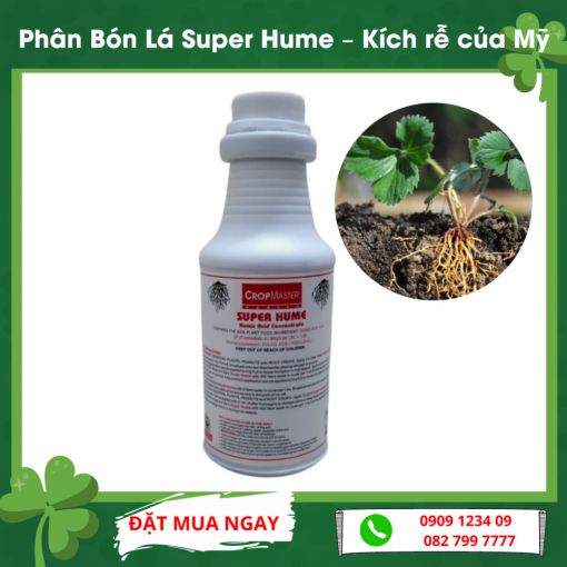 Phan Huu Co Super Hume Kich Re Cua My