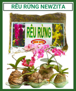Reu Rung Newzita