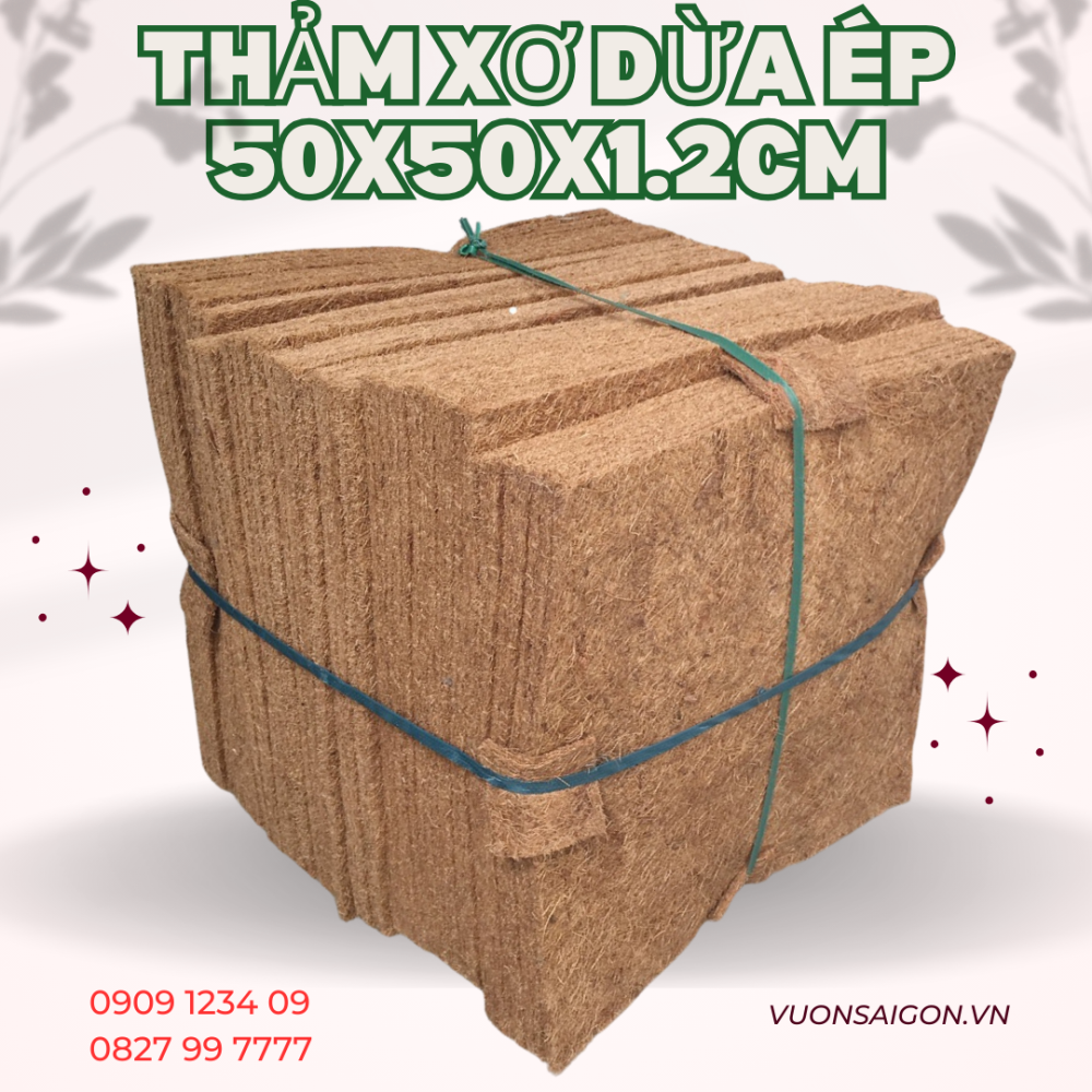 Tam Tham Xo Dua Ep