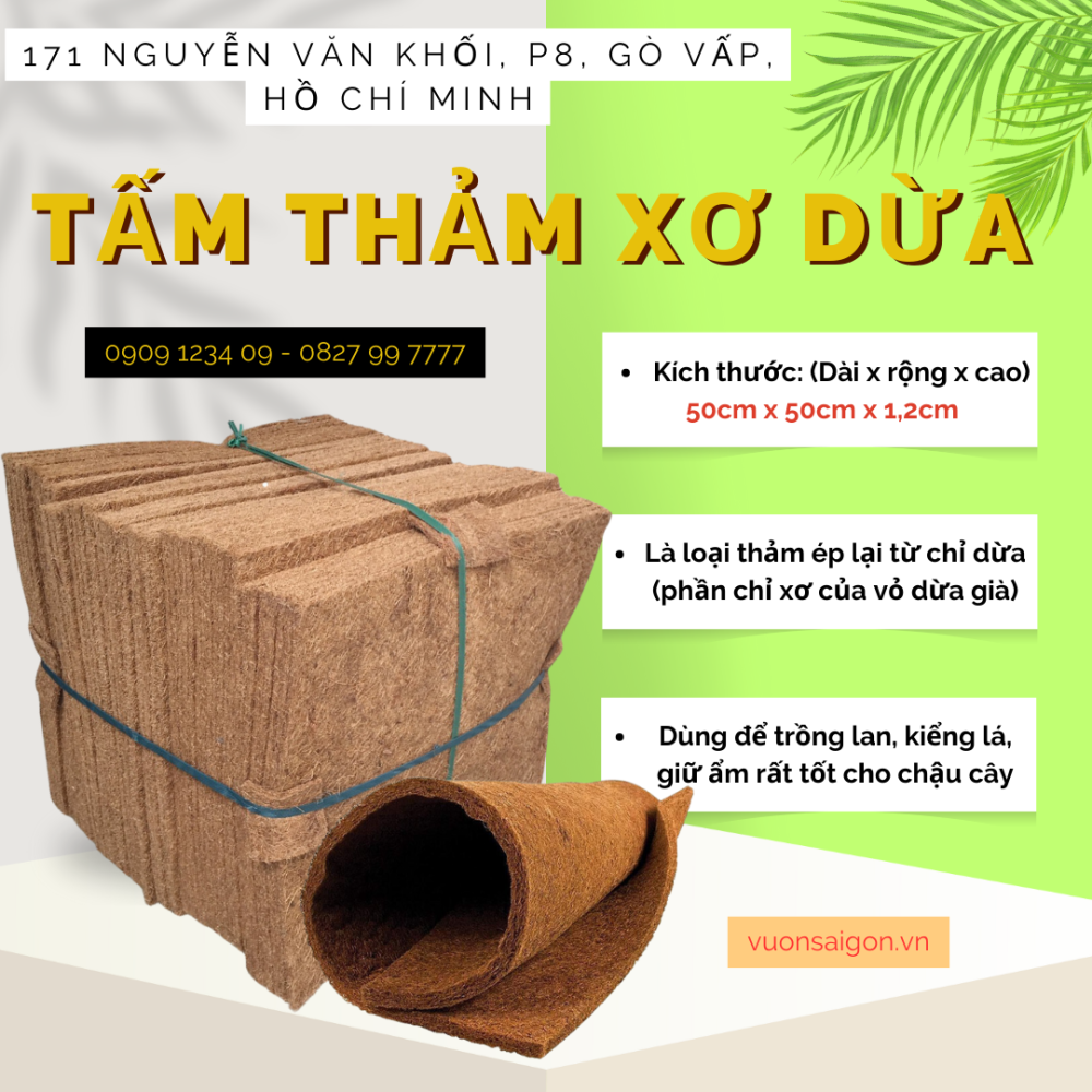Tam Xo Dua Ep