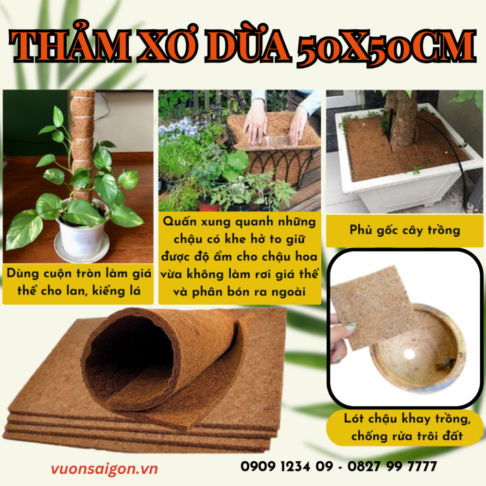 Tham Xo Dua Ep (1)