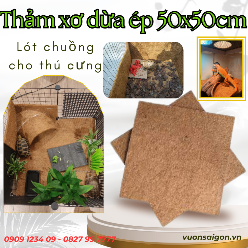 Tham Xo Dua Ep (2)