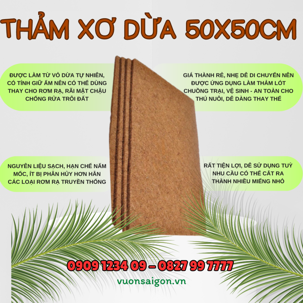 Tham Xo Dua Ep
