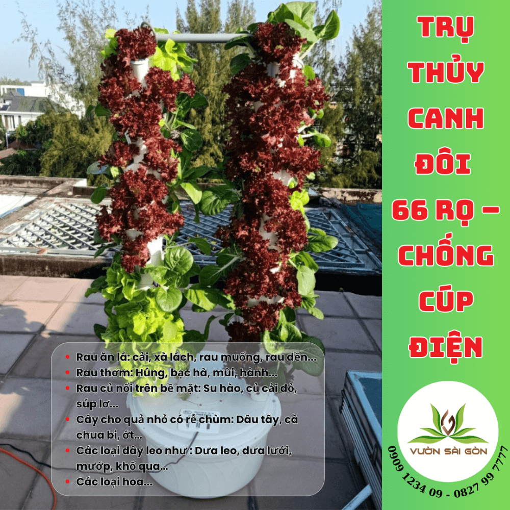 Tru Thuy Canh 66 Hoc (1)