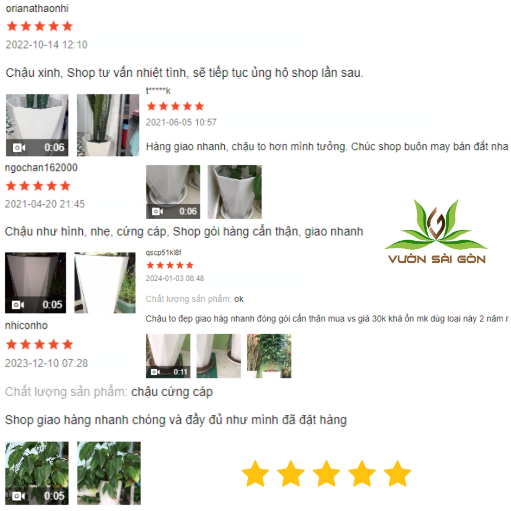 Chau 8 Canh Trang