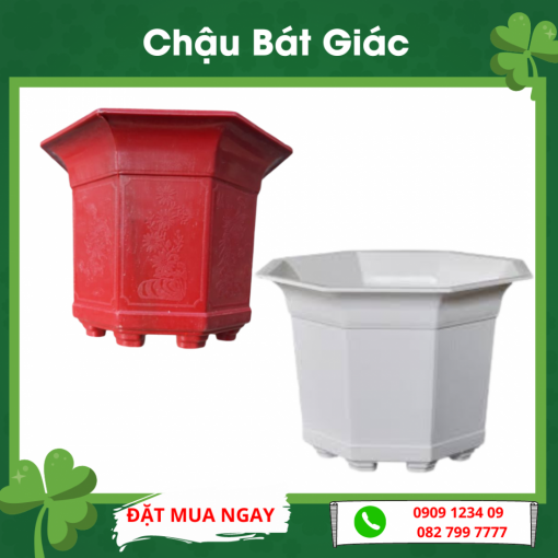Chau Bat Gac