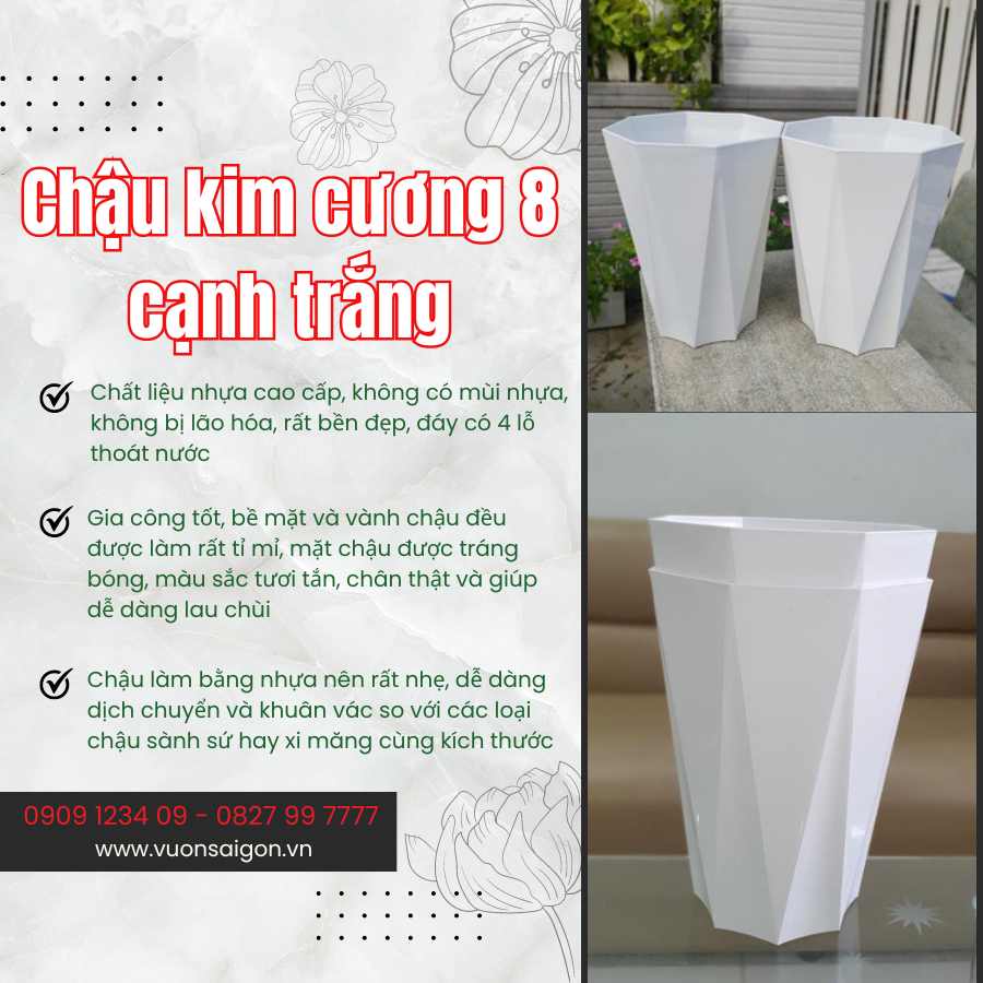 Chau Kim Cuong 8 Canh Trang