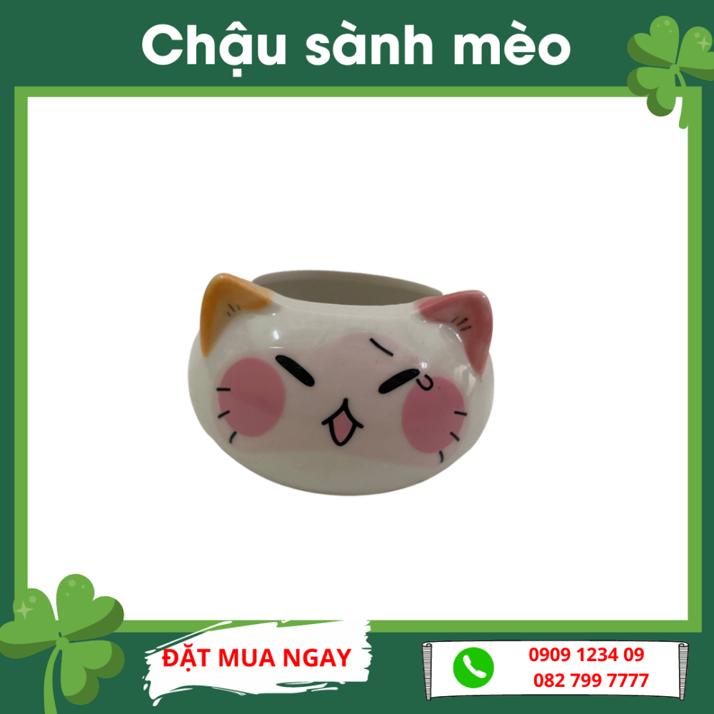 Chau Sanh Meo