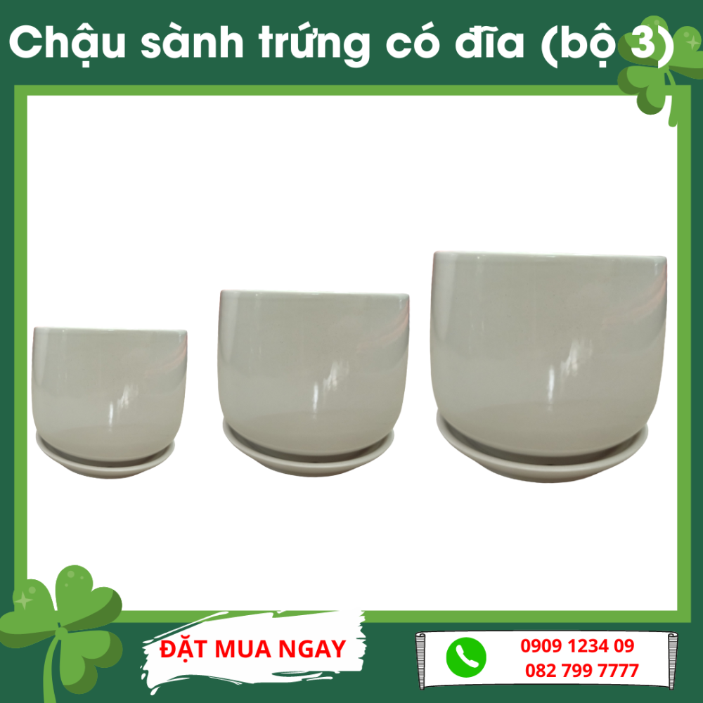 Chau Sanh Trung Co Dia