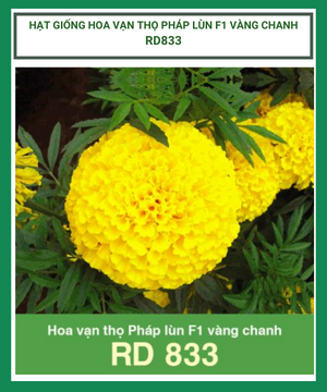 Hoa Van Tho Phap Lun Vang Chanh Rd 833