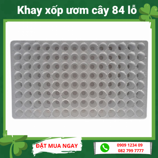 Khay Xop Uom 84 Lo