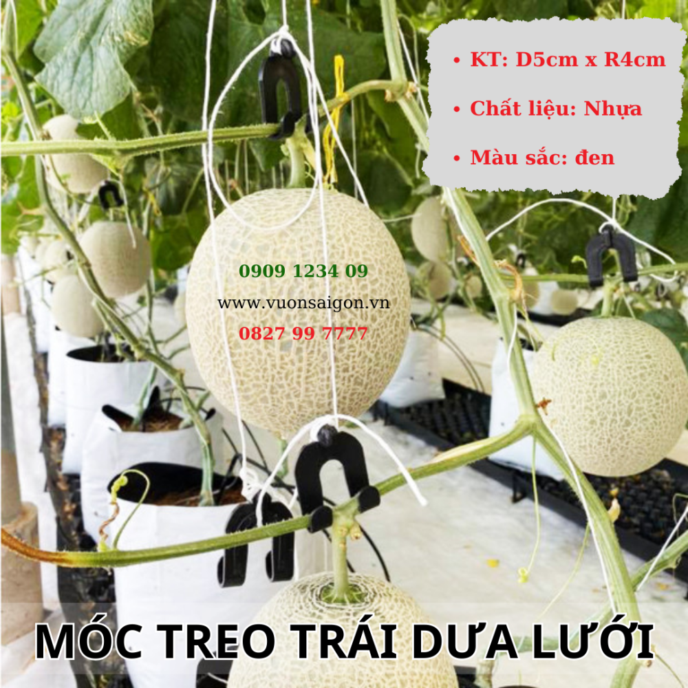 Moc Treo Trai Dua Luoi (2)