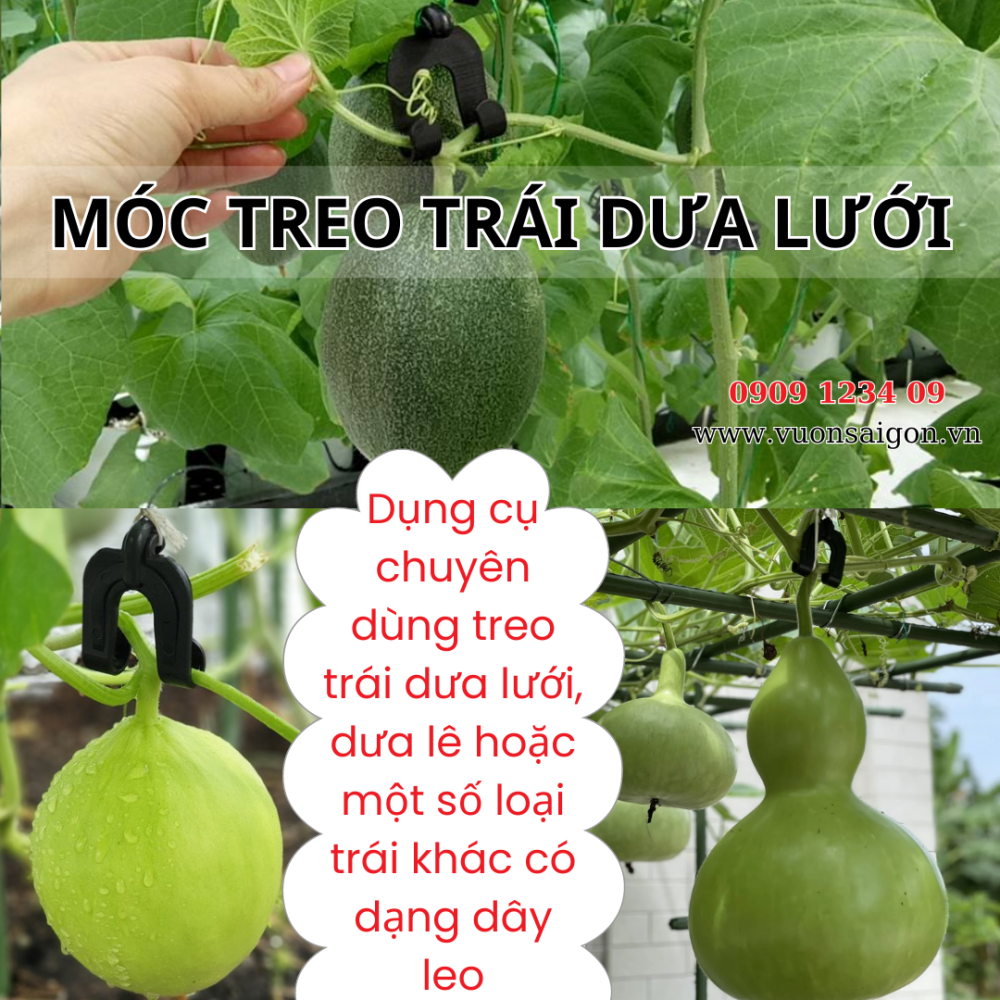 Moc Treo Trai Dua Luoi (4)