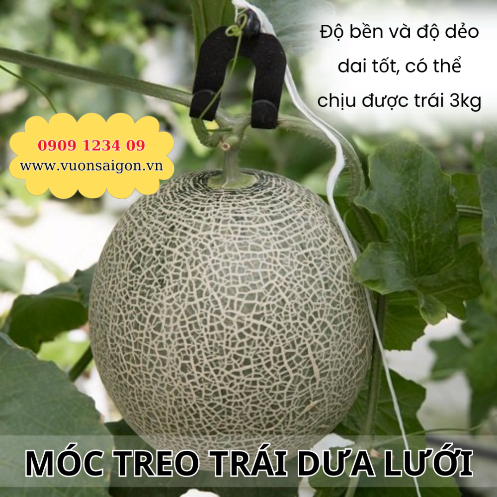 Moc Treo Trai Dua Luoi