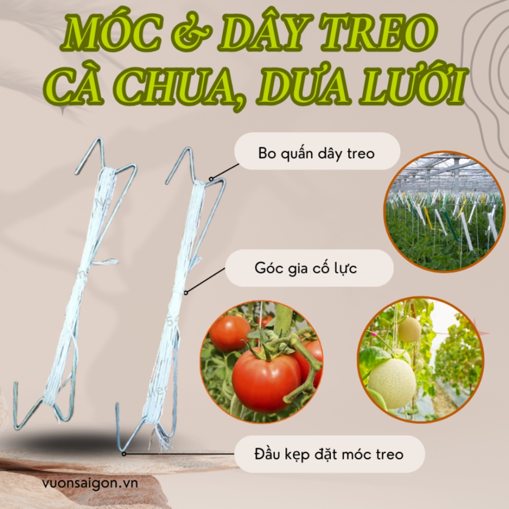 Moc Va Day Treo Ca Chua Dua Luoi (1)