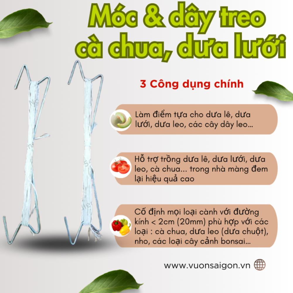 Moc Va Day Treo Ca Chua Dua Luoi (2)