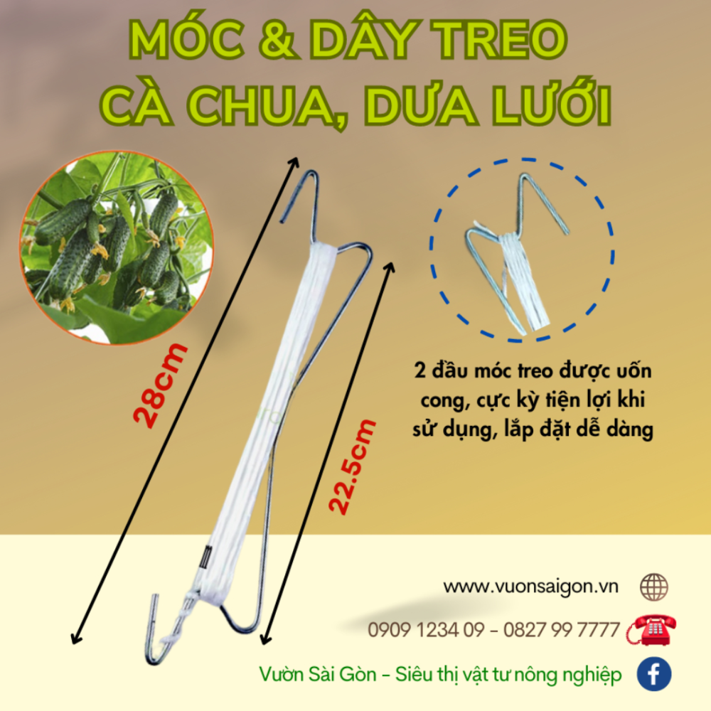 Moc Va Day Treo Ca Chua Dua Luoi (3)