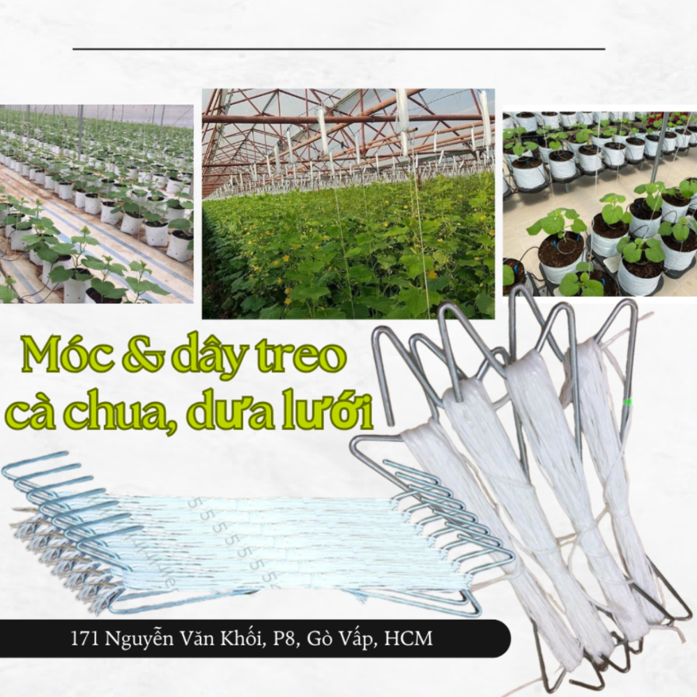 Moc Va Day Treo Ca Chua Dua Luoi (4)