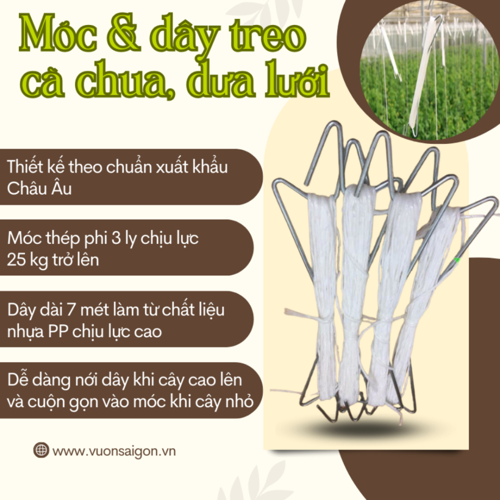 Moc Va Day Treo Ca Chua Dua Luoi