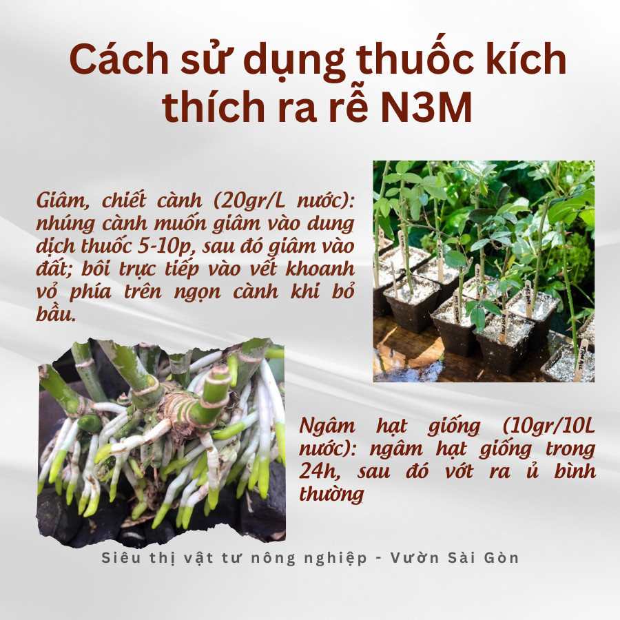 Cách sử dụng thuốc kích rễ N3M