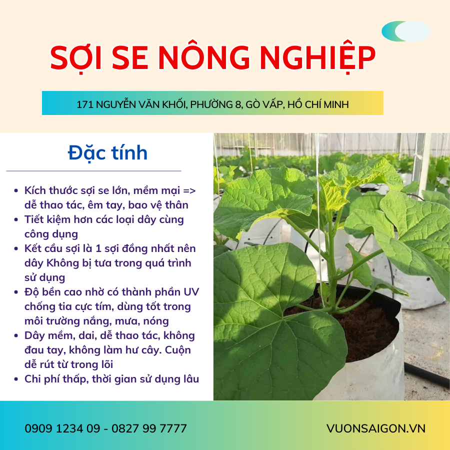 Soi Se Nong Nghiep Day Treo (1)