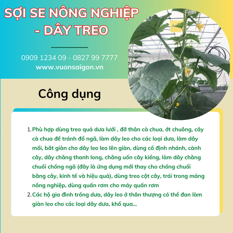 Soi Se Nong Nghiep Day Treo (2)