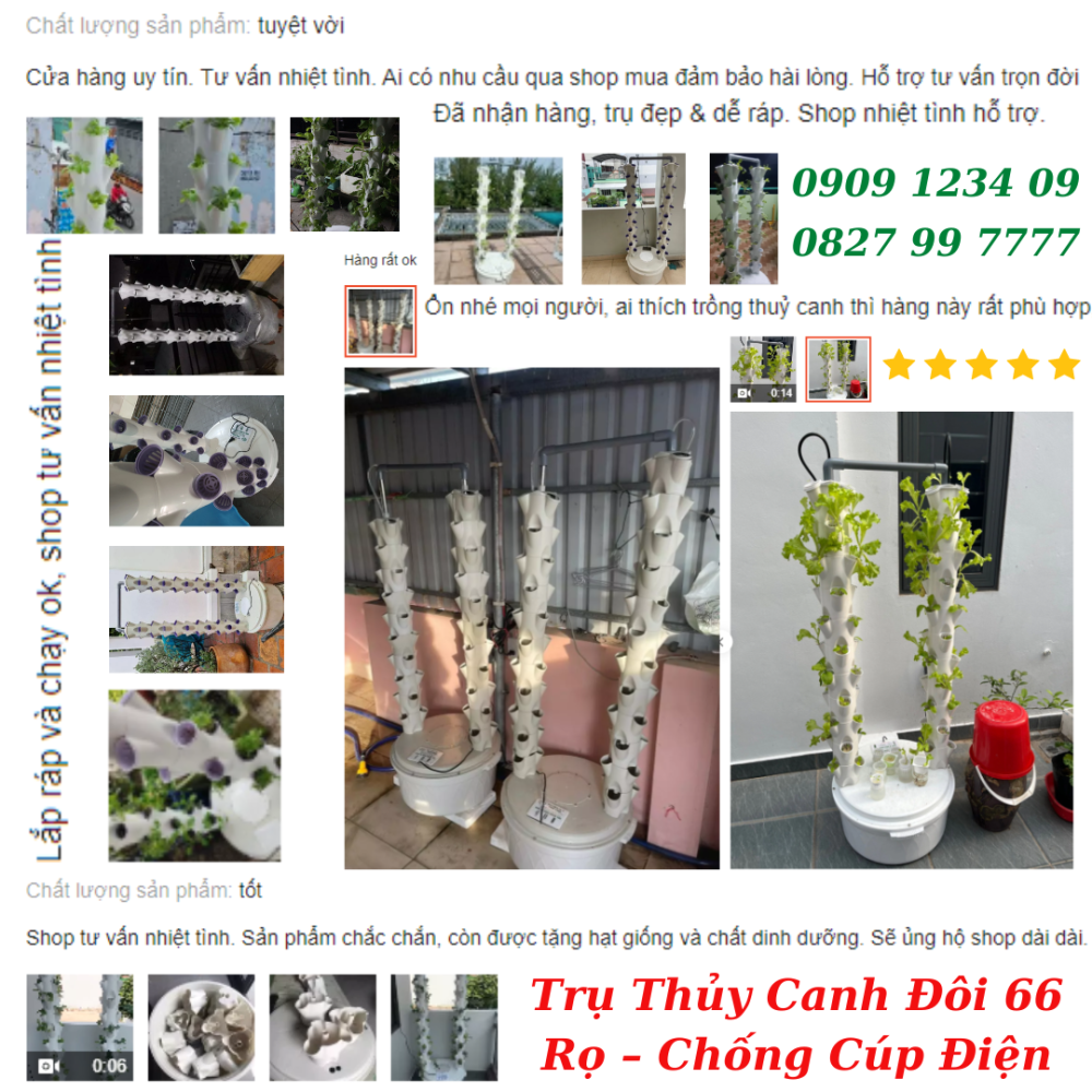 Tru Thuy Canh