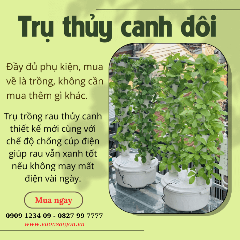 Tru Thuy Canh Doi (2)